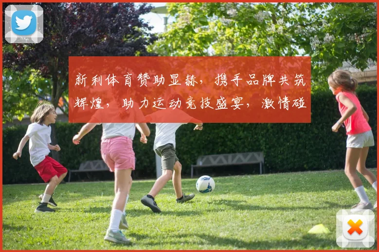 新利体育赞助显赫，携手品牌共筑辉煌，助力运动竞技盛宴，激情碰撞