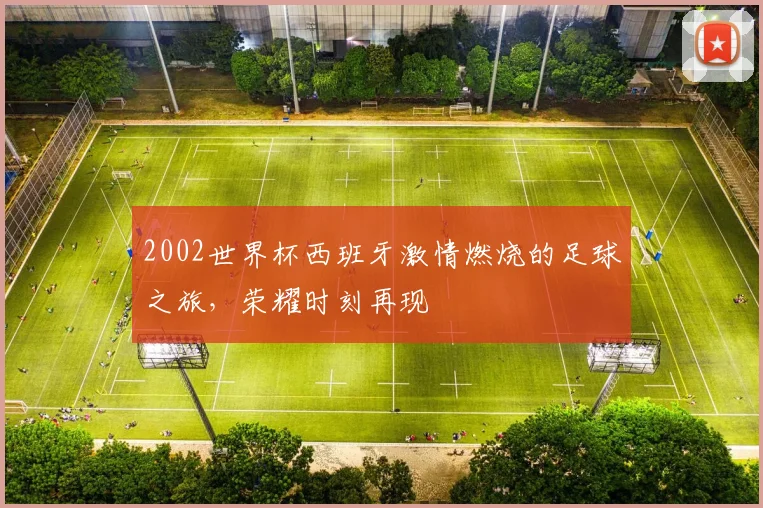 2002世界杯西班牙激情燃烧的足球之旅，荣耀时刻再现