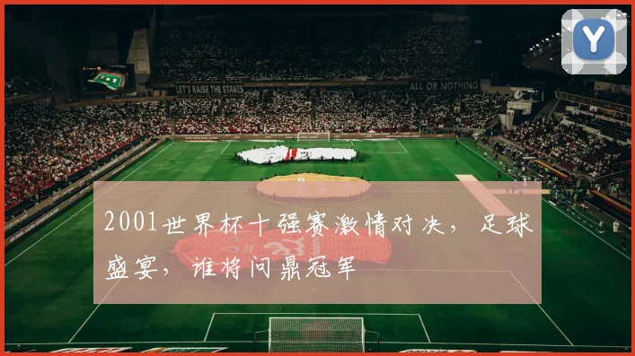 2001世界杯十强赛激情对决，足球盛宴，谁将问鼎冠军