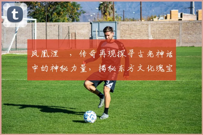 凤凰涅槃，传奇再现探寻古老神话中的神秘力量，揭秘东方文化瑰宝